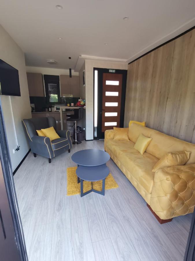 Ehinacea Apartment Rtanj Bagian luar foto