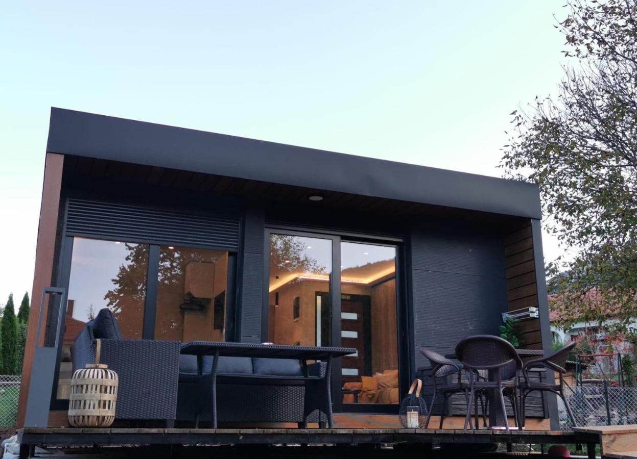 Ehinacea Apartment Rtanj Bagian luar foto