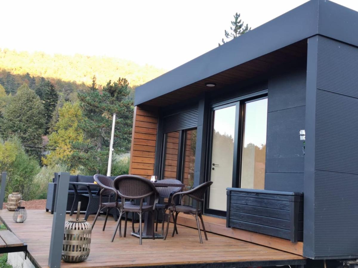 Ehinacea Apartment Rtanj Bagian luar foto
