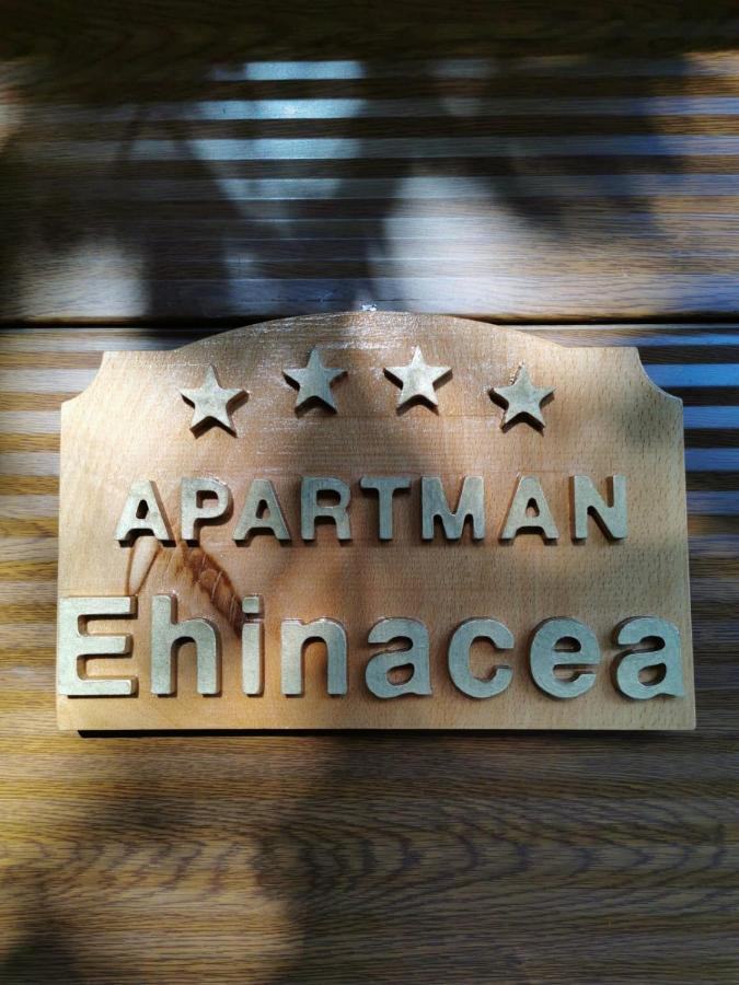 Ehinacea Apartment Rtanj Bagian luar foto